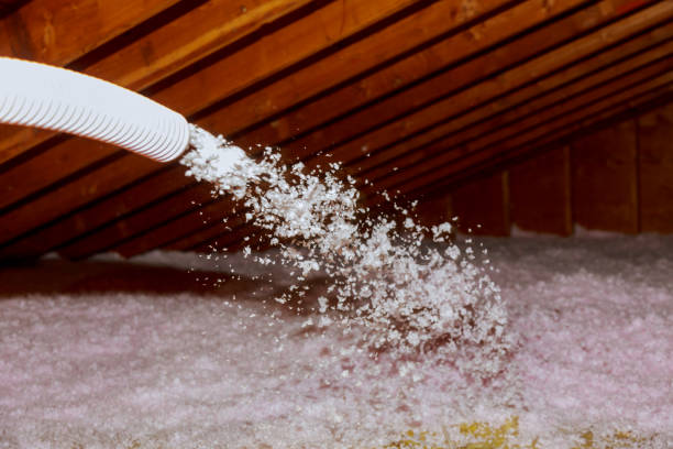Best Insulation Installation Services in Horace, ND